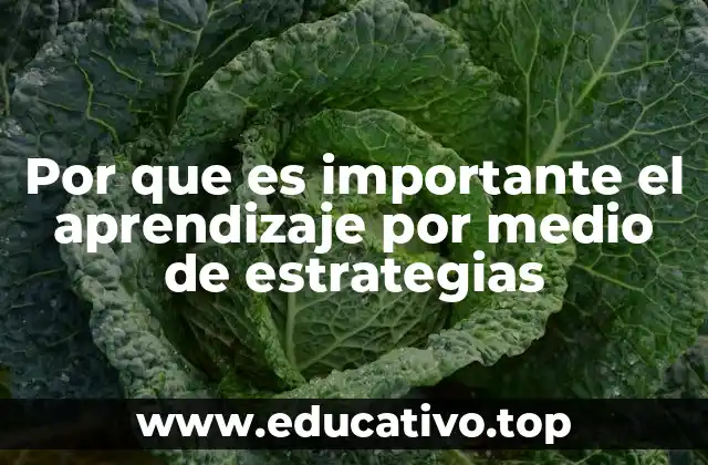 Por que es importante el aprendizaje por medio de estrategias