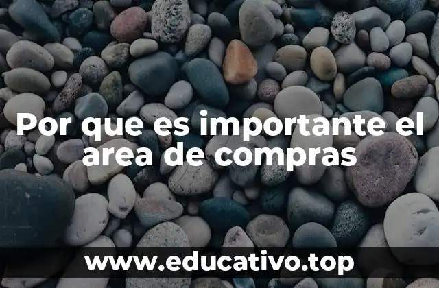 Por que es importante el area de compras