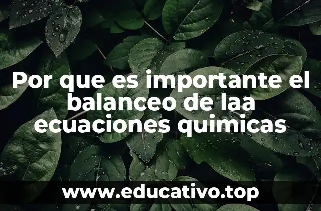 Por que es importante el balanceo de laa ecuaciones quimicas