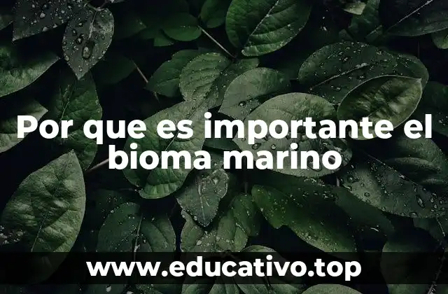 Por que es importante el bioma marino