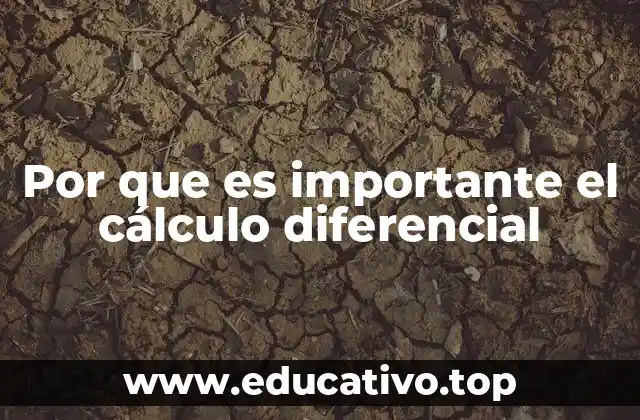 Por que es importante el cálculo diferencial