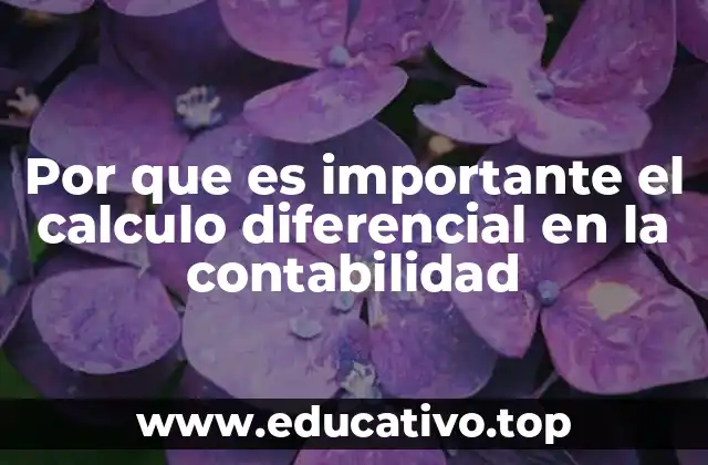 Por que es importante el calculo diferencial en la contabilidad