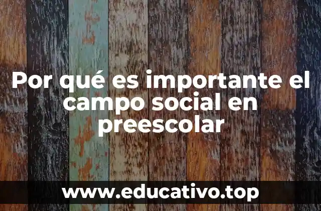 Por qué es importante el campo social en preescolar