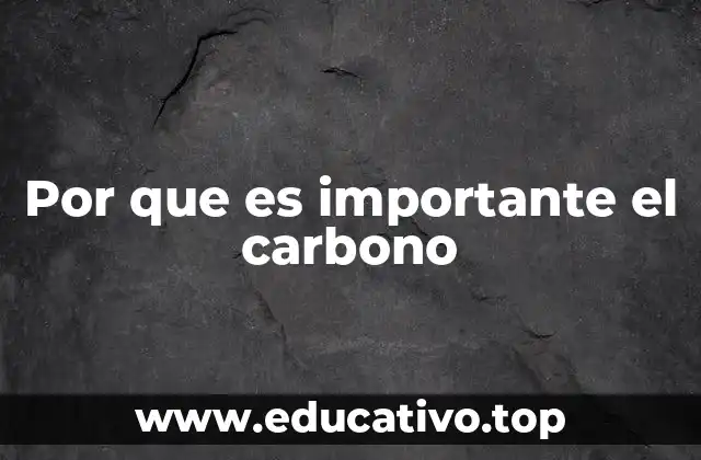 Por que es importante el carbono