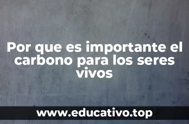 Por que es importante el carbono para los seres vivos