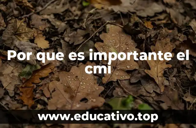 Por que es importante el cmi