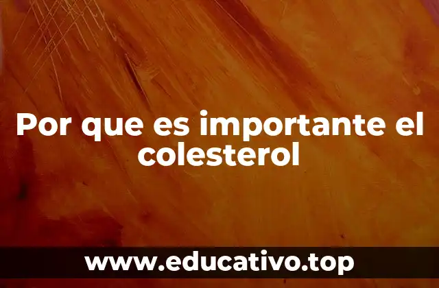 Por que es importante el colesterol