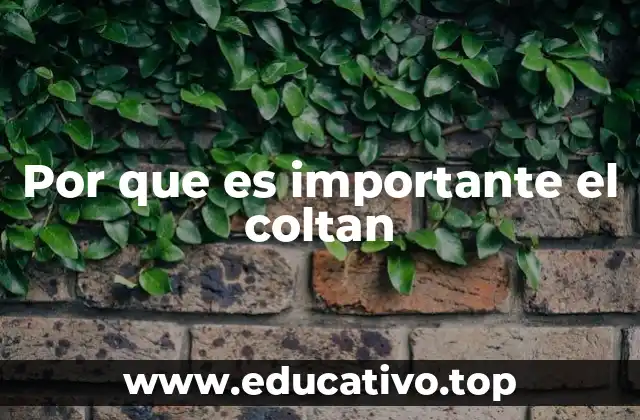 Por que es importante el coltan