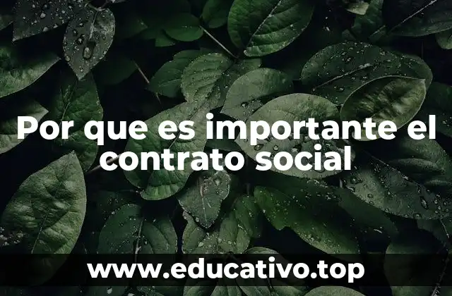 Por que es importante el contrato social