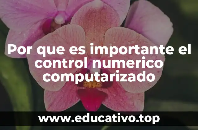 Por que es importante el control numerico computarizado