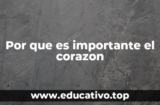 Por que es importante el corazon