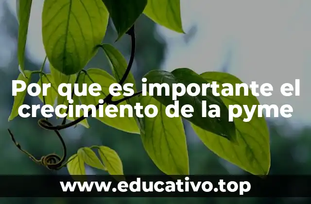 Por que es importante el crecimiento de la pyme