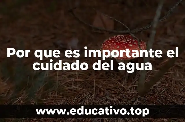 Por que es importante el cuidado del agua