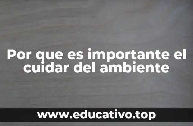 Por que es importante el cuidar del ambiente