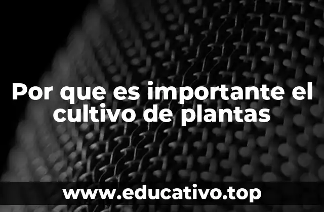 Por que es importante el cultivo de plantas
