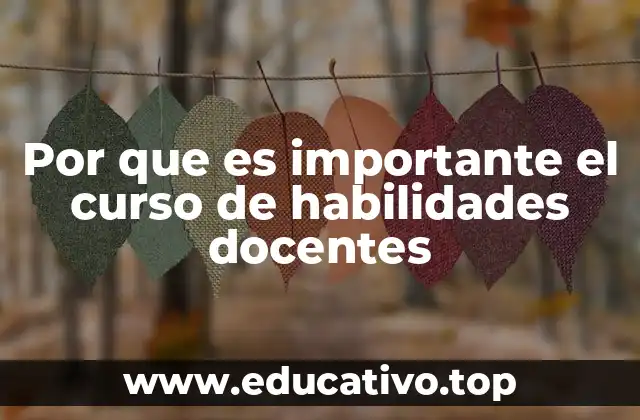Por que es importante el curso de habilidades docentes
