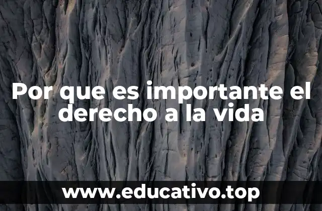 Por que es importante el derecho a la vida