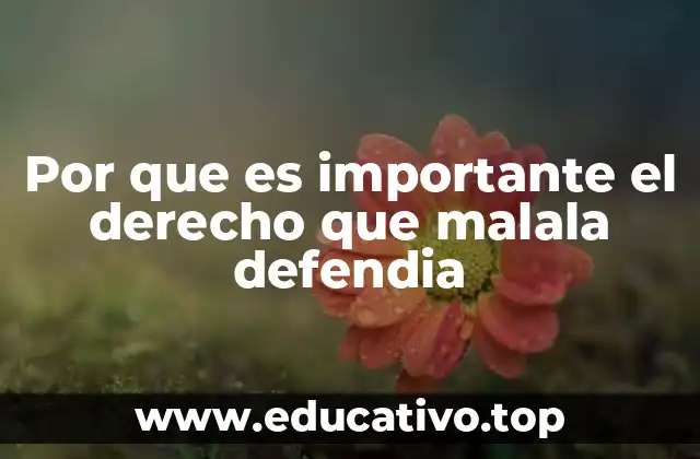 Por que es importante el derecho que malala defendia
