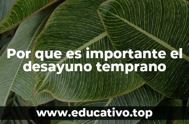 Por que es importante el desayuno temprano