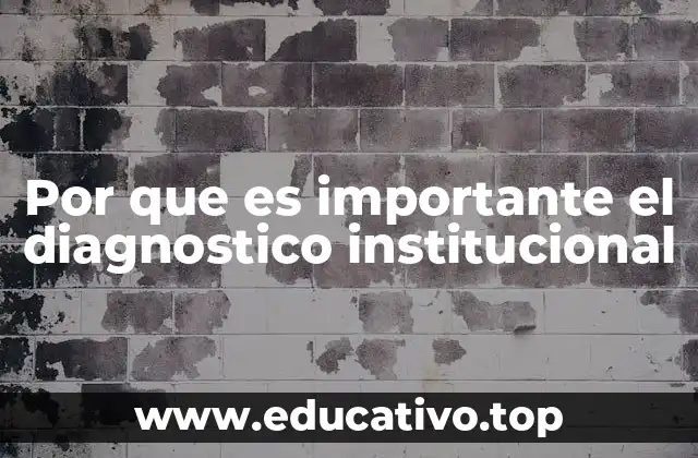 Por que es importante el diagnostico institucional