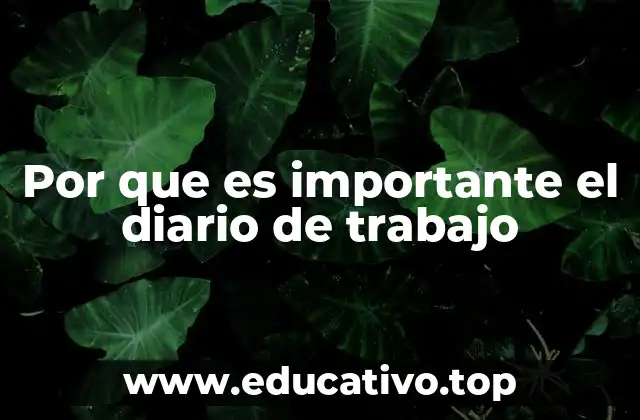 Por que es importante el diario de trabajo