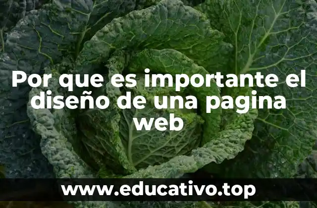 Por que es importante el diseño de una pagina web