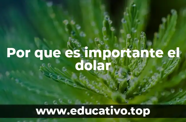 Por que es importante el dolar