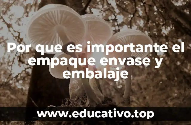 Por que es importante el empaque envase y embalaje