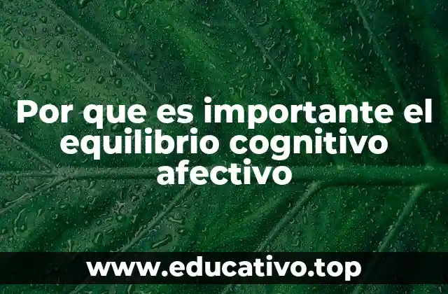 Por que es importante el equilibrio cognitivo afectivo