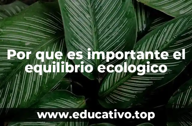 Por que es importante el equilibrio ecologico
