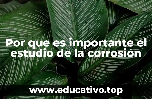 Por que es importante el estudio de la corrosión