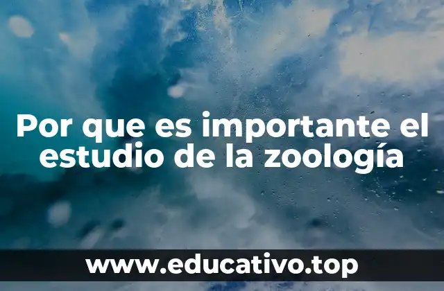 Por que es importante el estudio de la zoología