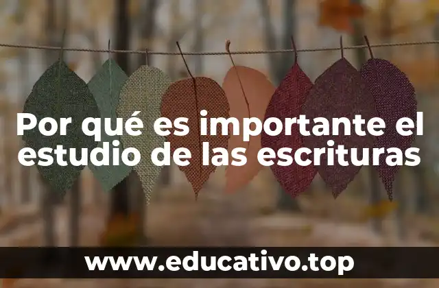 Por qué es importante el estudio de las escrituras