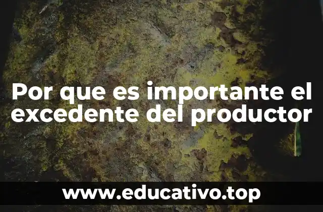 Por que es importante el excedente del productor
