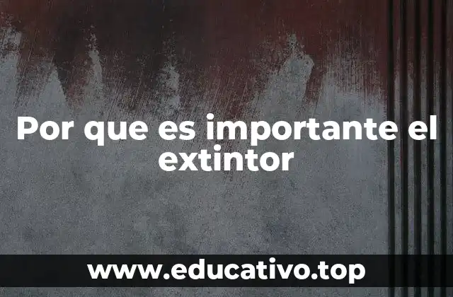 Por que es importante el extintor