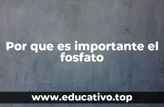 Por que es importante el fosfato