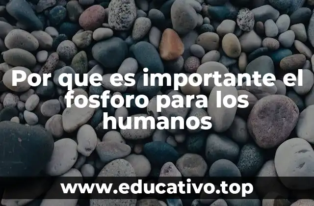 Por que es importante el fosforo para los humanos