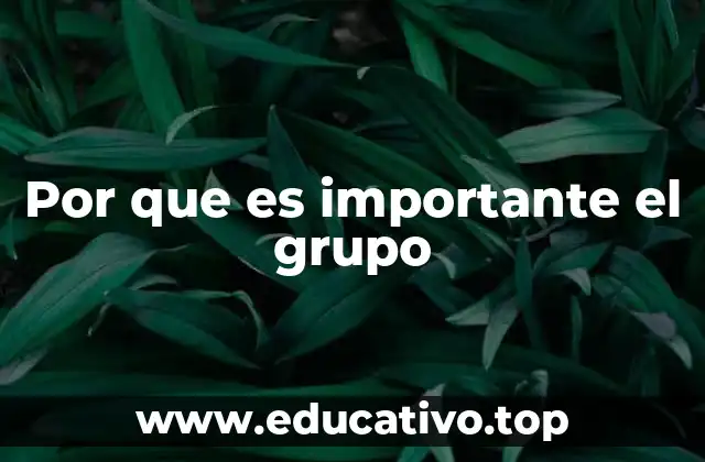 Por que es importante el grupo