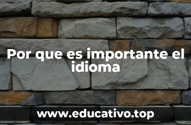 Por que es importante el idioma