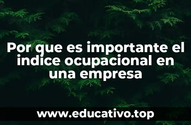 Por que es importante el indice ocupacional en una empresa