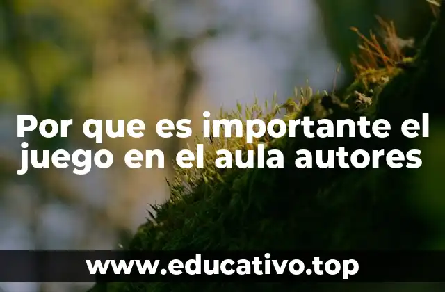 La base teórica detrás del juego como herramienta educativa