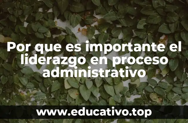 Por que es importante el liderazgo en proceso administrativo