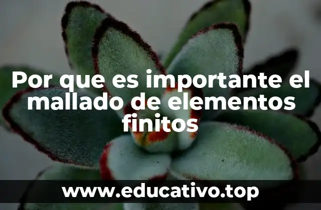 Por que es importante el mallado de elementos finitos