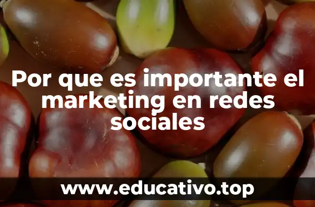 Por que es importante el marketing en redes sociales