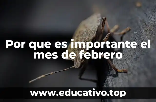 Por que es importante el mes de febrero