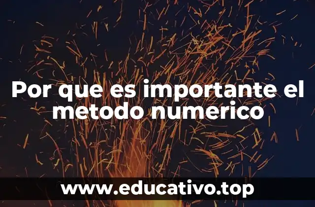 Por que es importante el metodo numerico