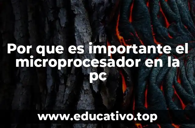 Por que es importante el microprocesador en la pc