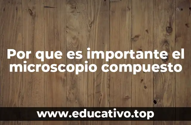 Por que es importante el microscopio compuesto