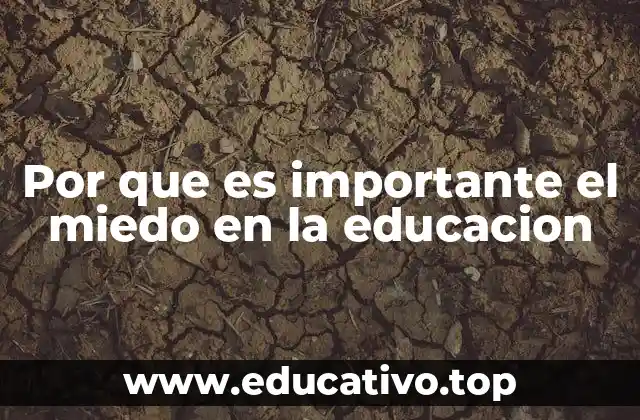 Por que es importante el miedo en la educacion