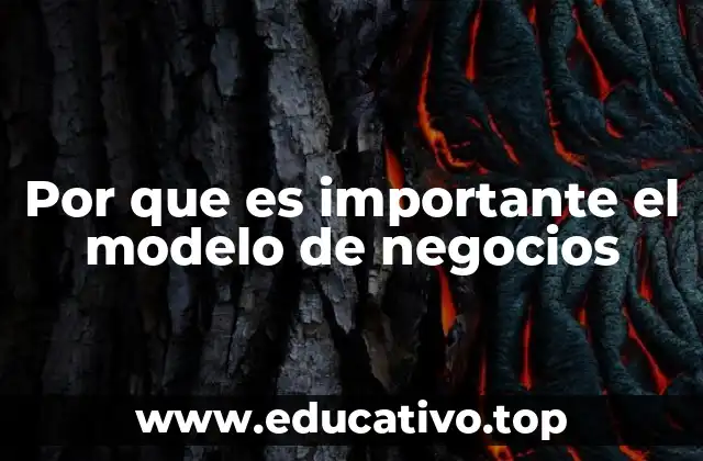 Por que es importante el modelo de negocios